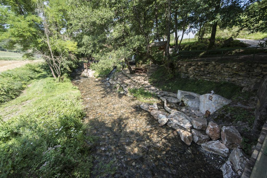 Gradacka Banja Brvnare Apartment Bagian luar foto